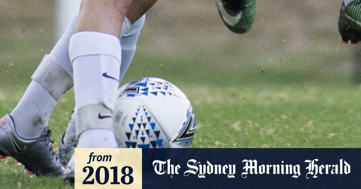 Police calling for witnesses to brawl at women's soccer match